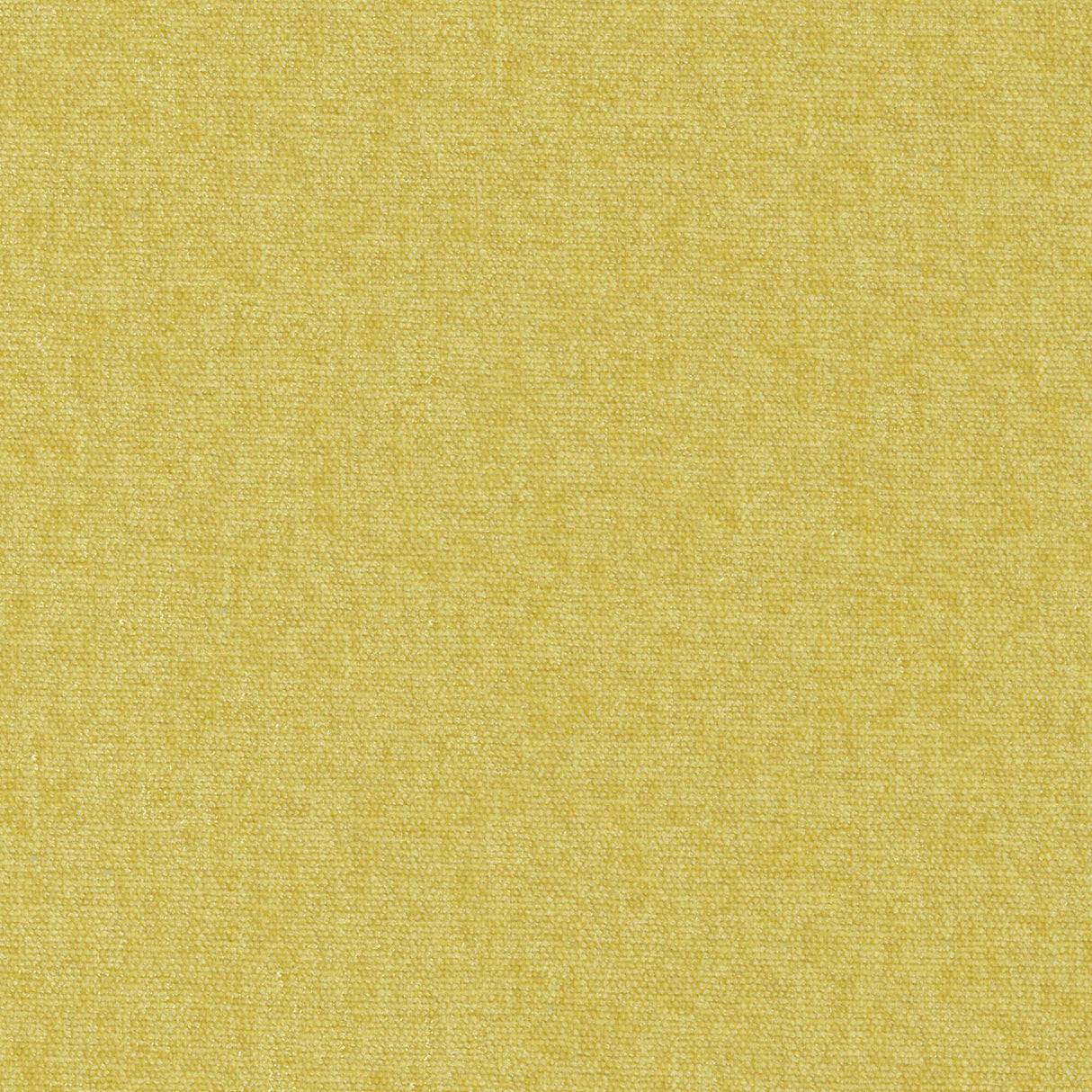 Maxwell CONTE #805 LINDEN Fabric