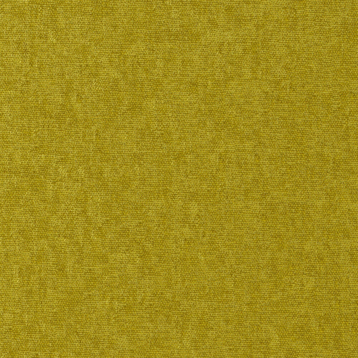 Maxwell CONTE #806 TURTLE Fabric