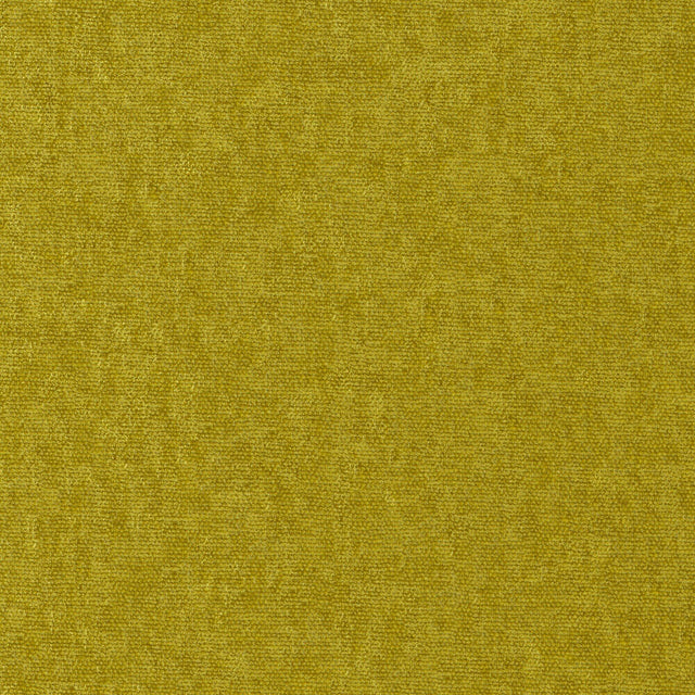 Maxwell CONTE #806 TURTLE Fabric