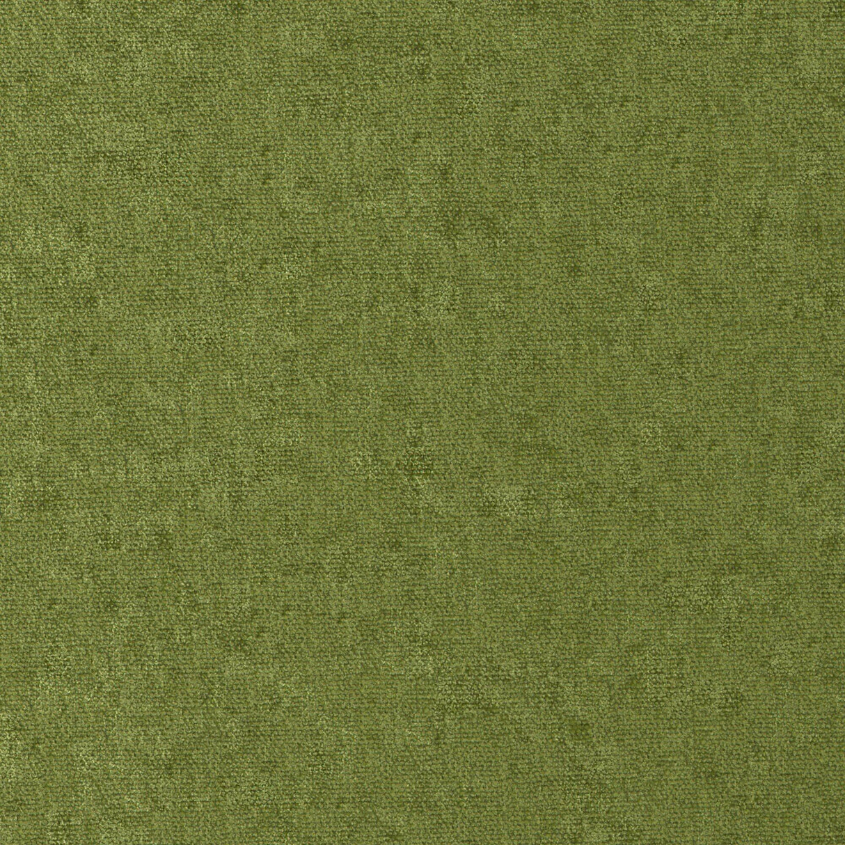 Maxwell CONTE #811 GRASS Fabric