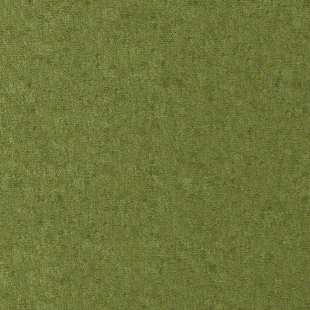 Maxwell CONTE #811 GRASS Fabric