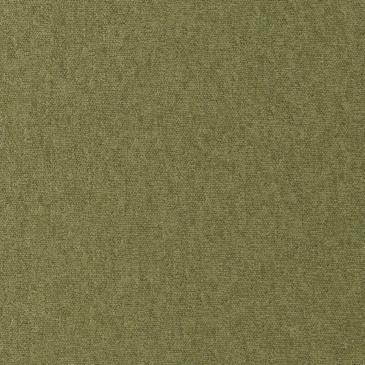 Maxwell CONTE #812 OLIVE Fabric
