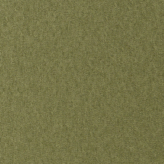 Maxwell CONTE #812 OLIVE Fabric