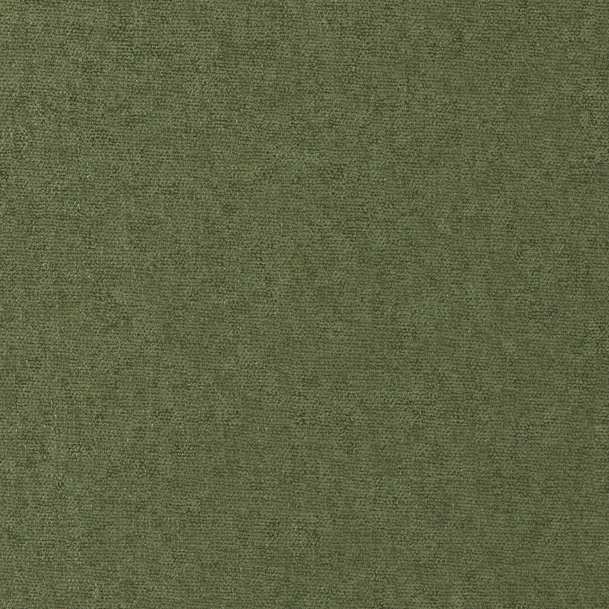 Maxwell CONTE #815 PESTO Fabric