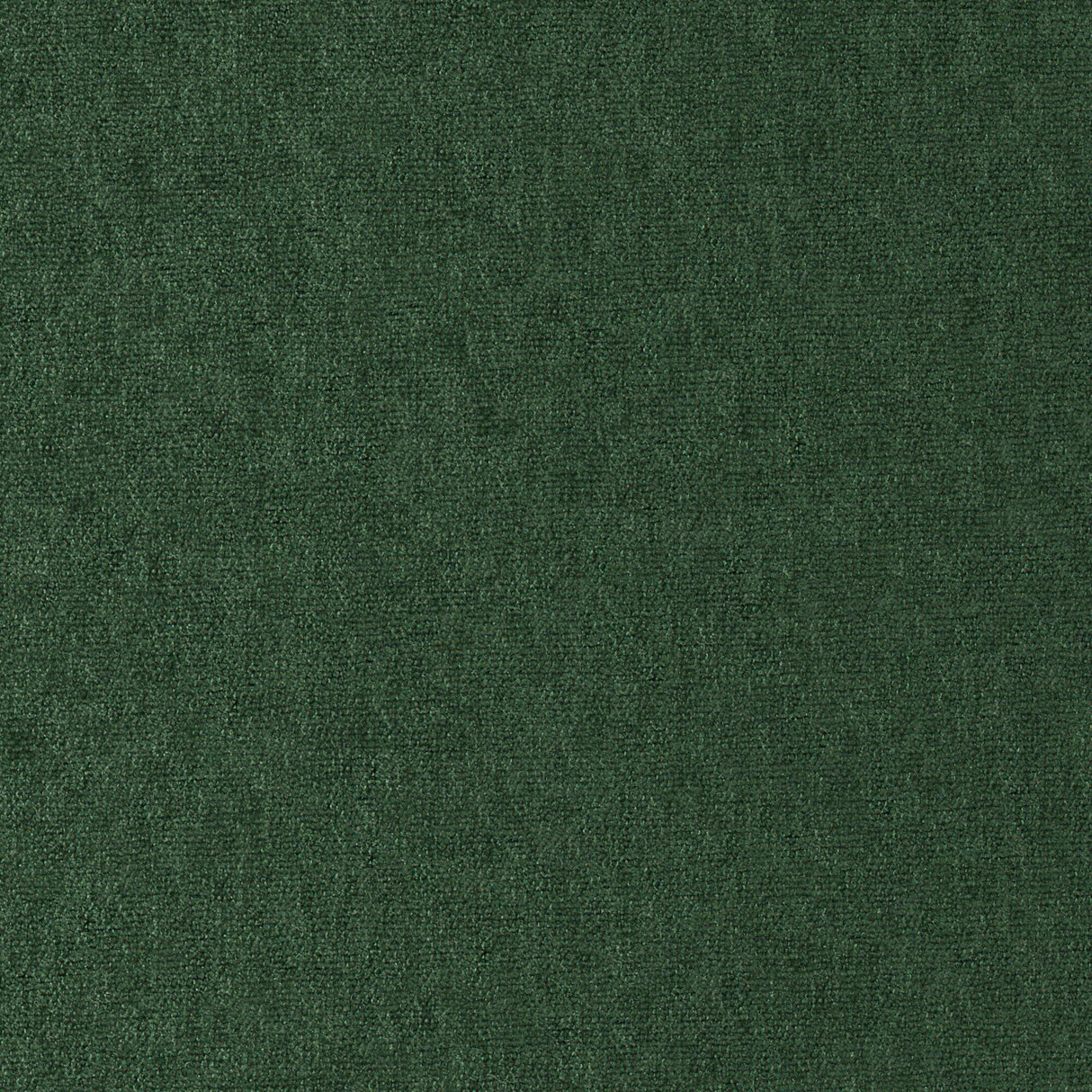 Maxwell CONTE #818 BALSAM Fabric