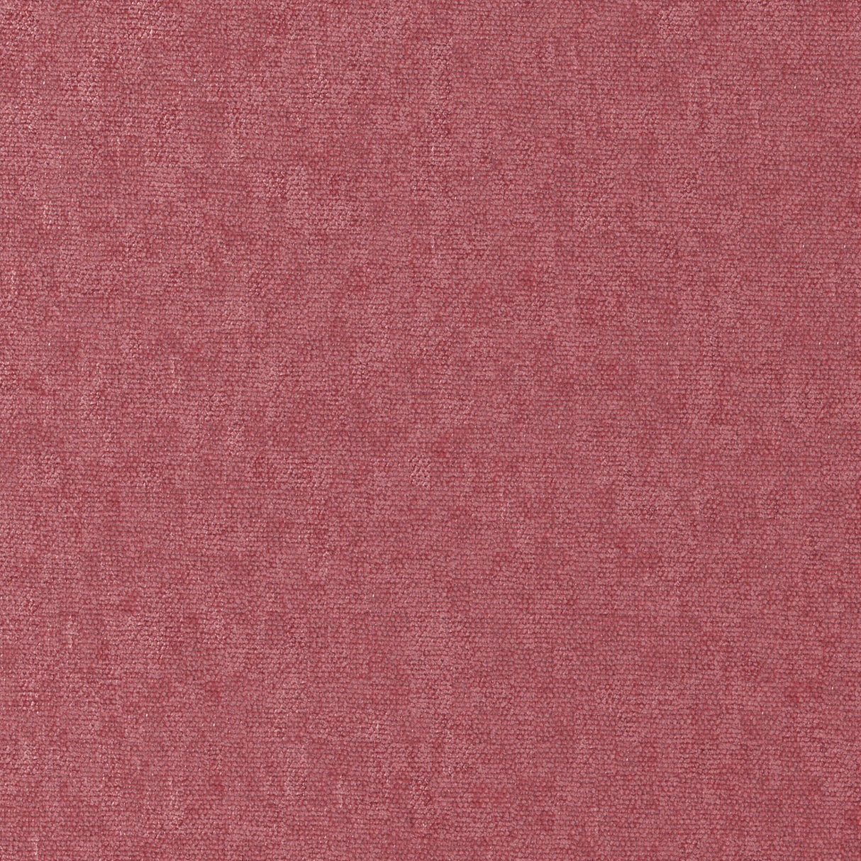 Maxwell CONTE #881 PEONY Fabric