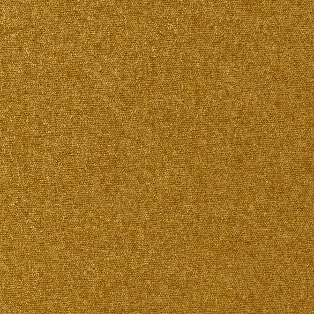 Maxwell CONTE #903 BUTTERSCOTCH Fabric