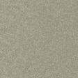 Maxwell CONTE #905 FUNGHI Fabric