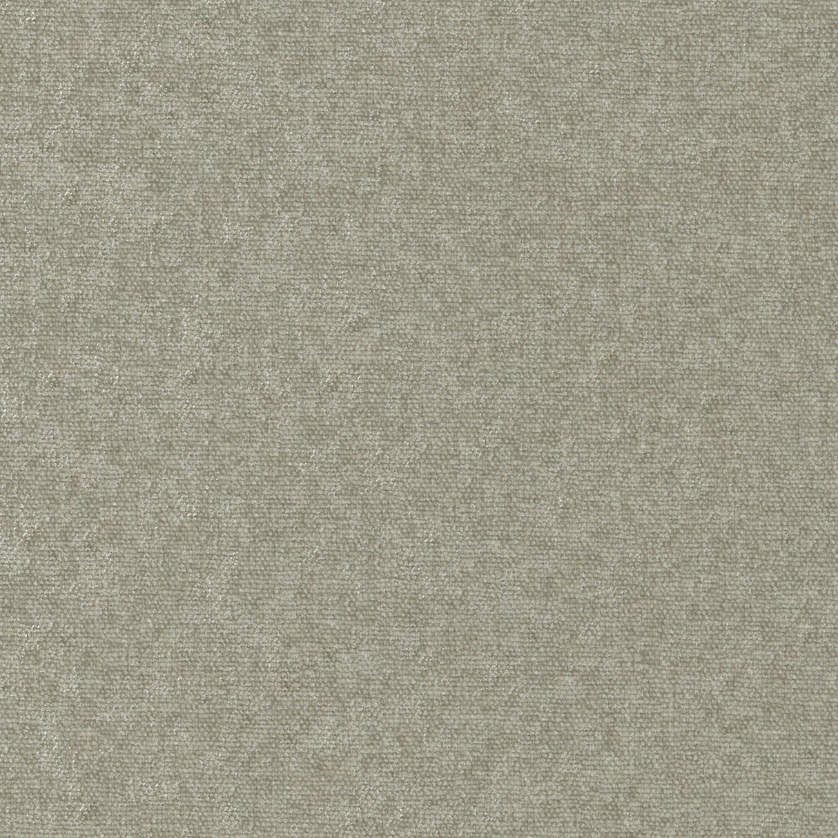 Maxwell CONTE #905 FUNGHI Fabric