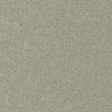 Maxwell CONTE #905 FUNGHI Fabric