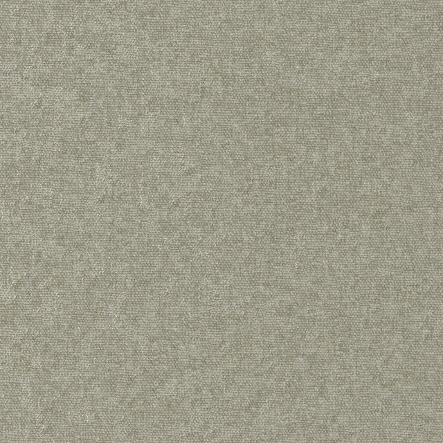 Maxwell CONTE #905 FUNGHI Fabric