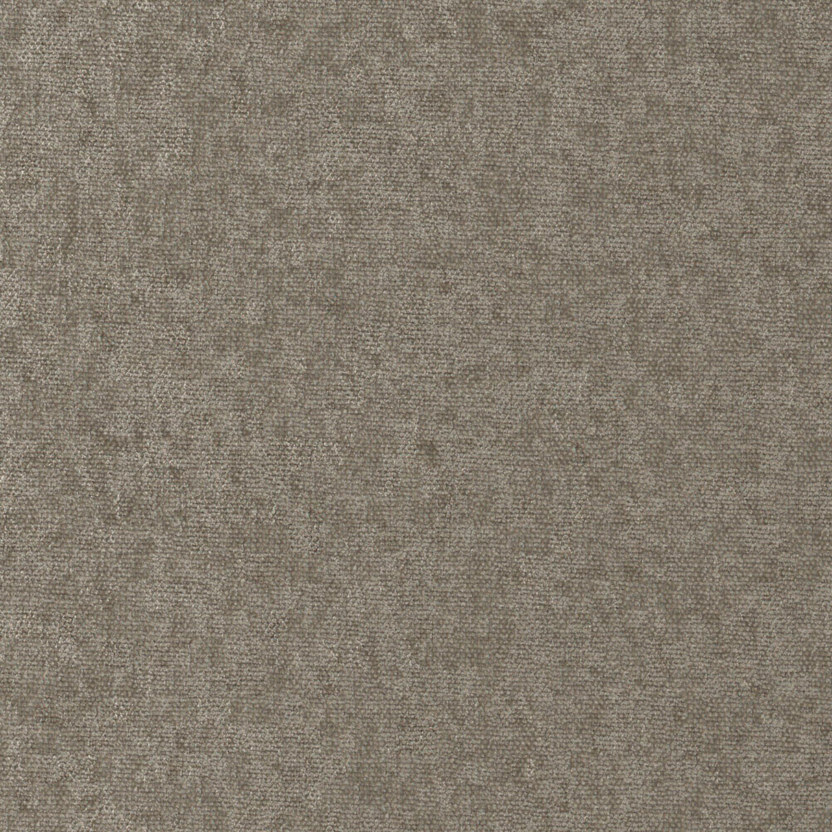 Maxwell CONTE #907 PLAZA Fabric