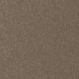 Maxwell CONTE #911 BEAVER Fabric
