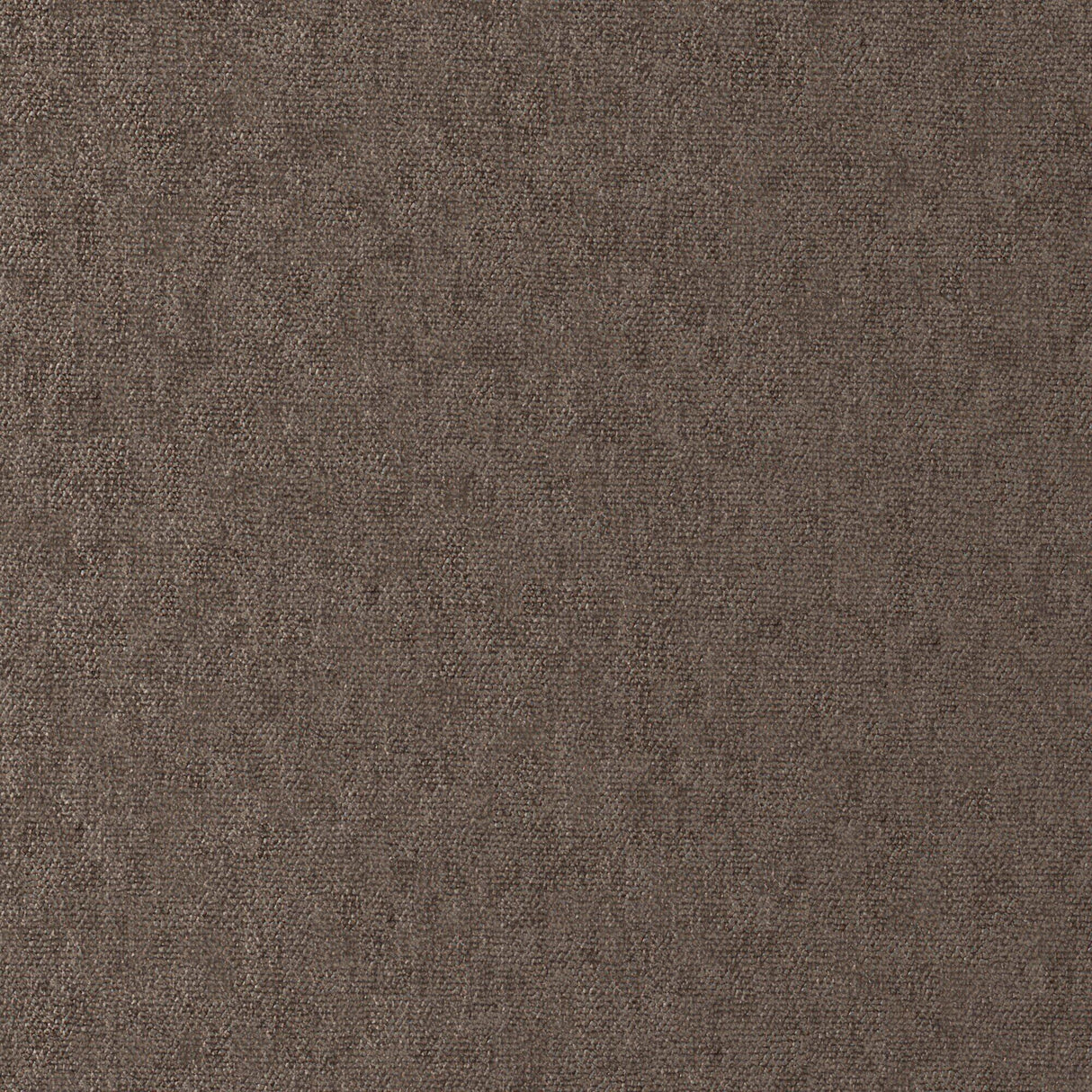 Maxwell CONTE #914 BISON Fabric