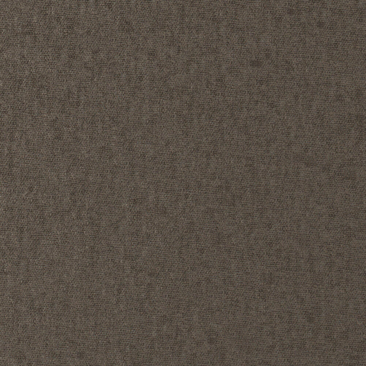 Maxwell CONTE #917 SMOKE Fabric