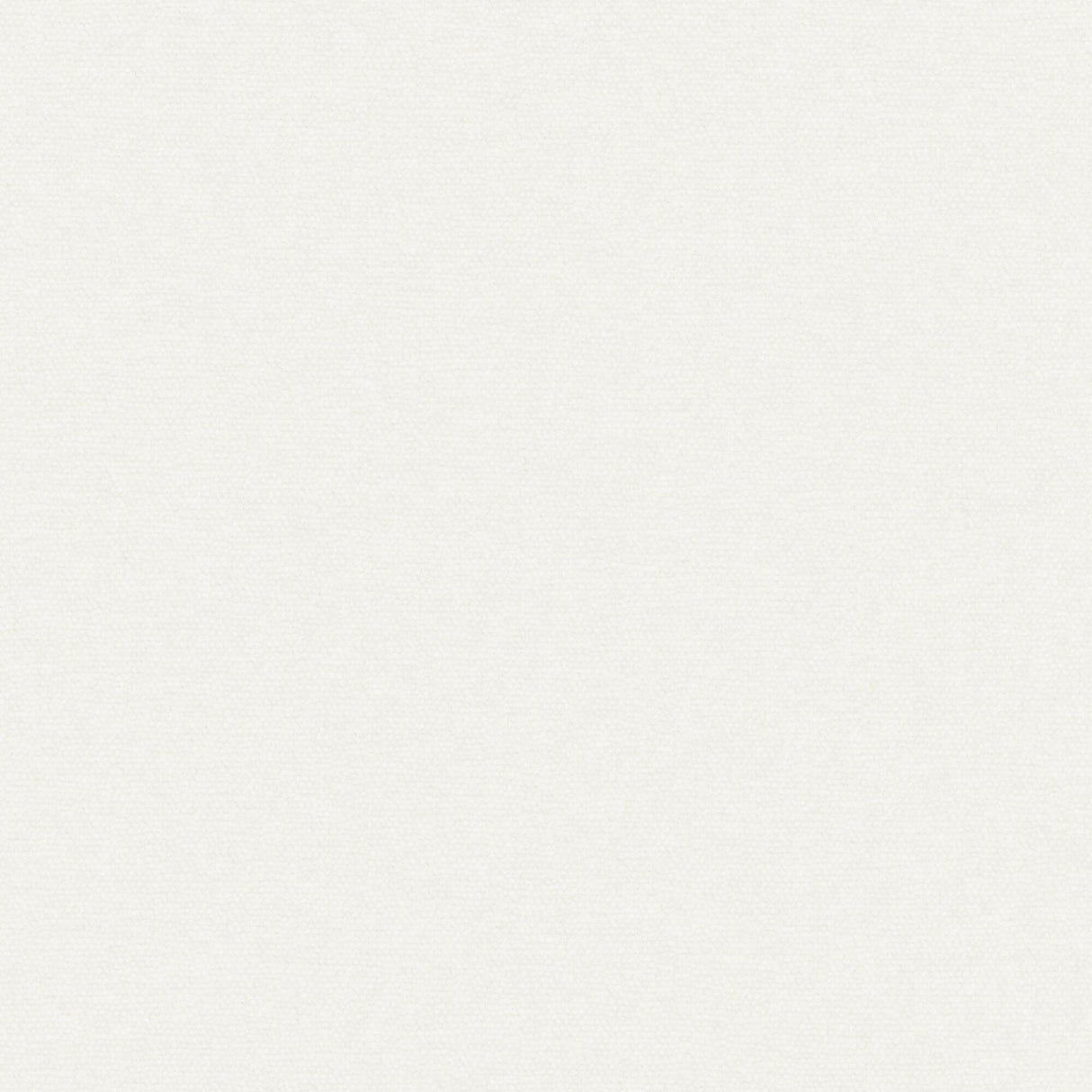 Maxwell CONTE #946 BONE Fabric