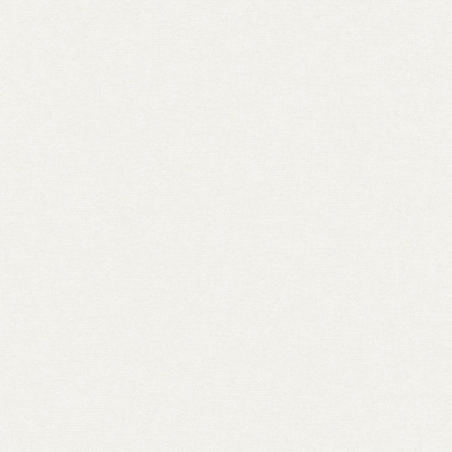 Maxwell CONTE #946 BONE Fabric