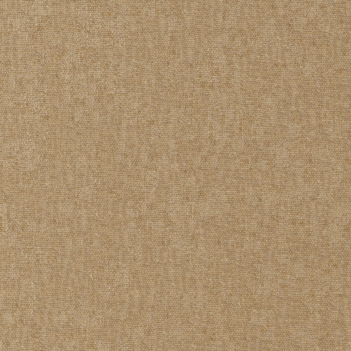 Maxwell CONTE #951 BUFF Fabric
