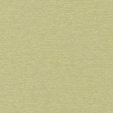 Maxwell IMPASTO #808 PEAR Fabric