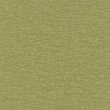Maxwell IMPASTO #810 FERN Fabric