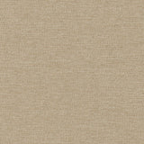 Maxwell IMPASTO #953 CORK Fabric