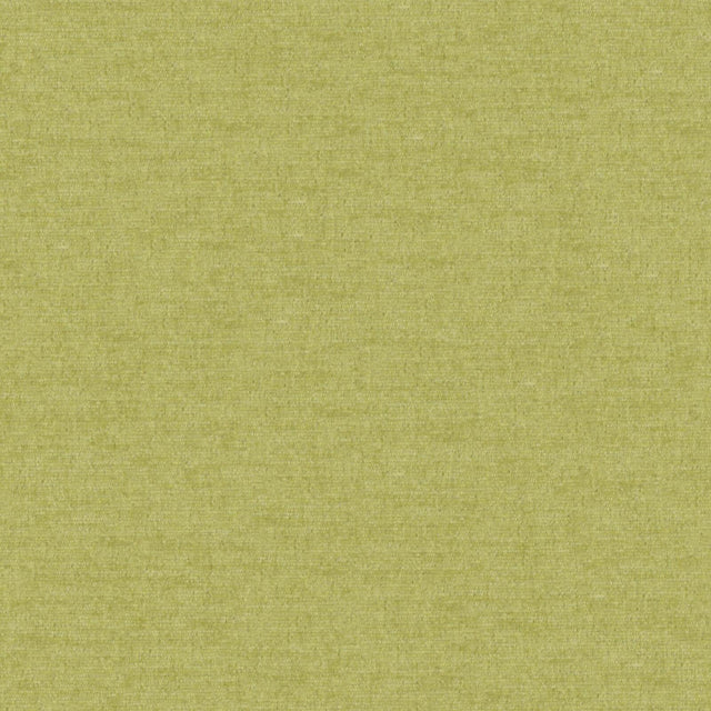 Maxwell PINTURA #809 THYME Fabric
