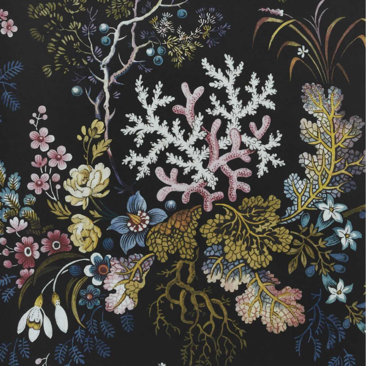 Maxwell KILBURN'S CORAL (WP) #04 MIDNIGHT Wallpaper