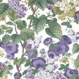Maxwell FLORIBUNDA (WP) #01 LAVENDER DREAM Wallpaper