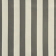 Maxwell CONWAY #668 IRON Fabric