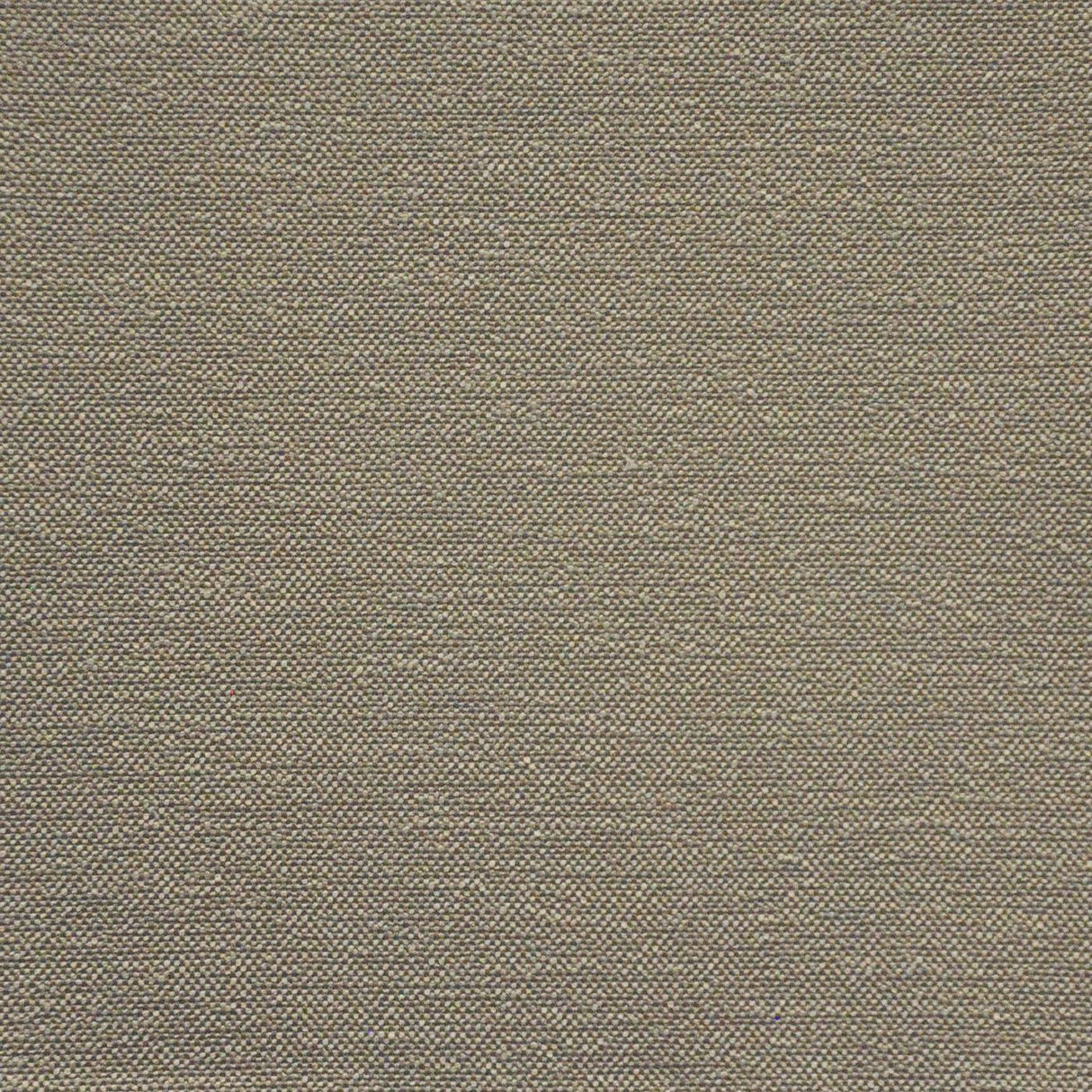 Maxwell HOLLIS #622 DOVE Fabric
