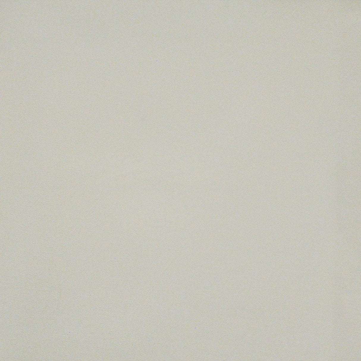 Maxwell STANDISH #648 DAISY Fabric