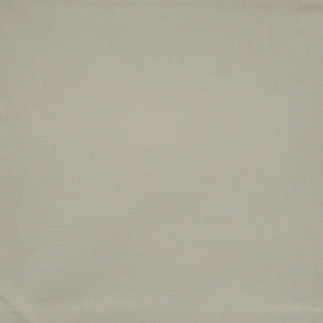 Maxwell STANDISH #665 GESSO Fabric