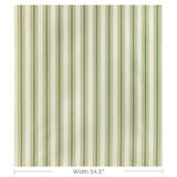 Lee Jofa BALDWIN STRIPE FERN Fabric