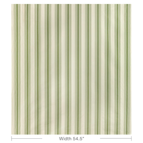 Lee Jofa BALDWIN STRIPE FERN Fabric