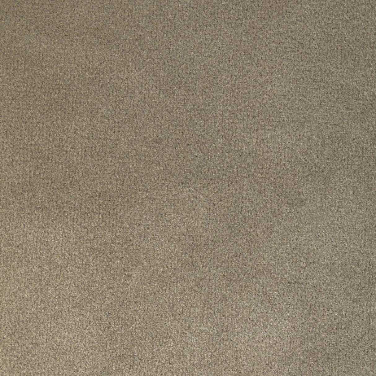 Kravet ROCCO VELVET MINK Upholstery Fabric