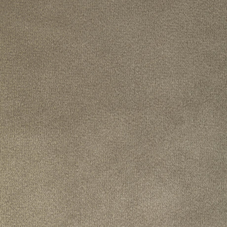 Kravet ROCCO VELVET MINK Upholstery Fabric