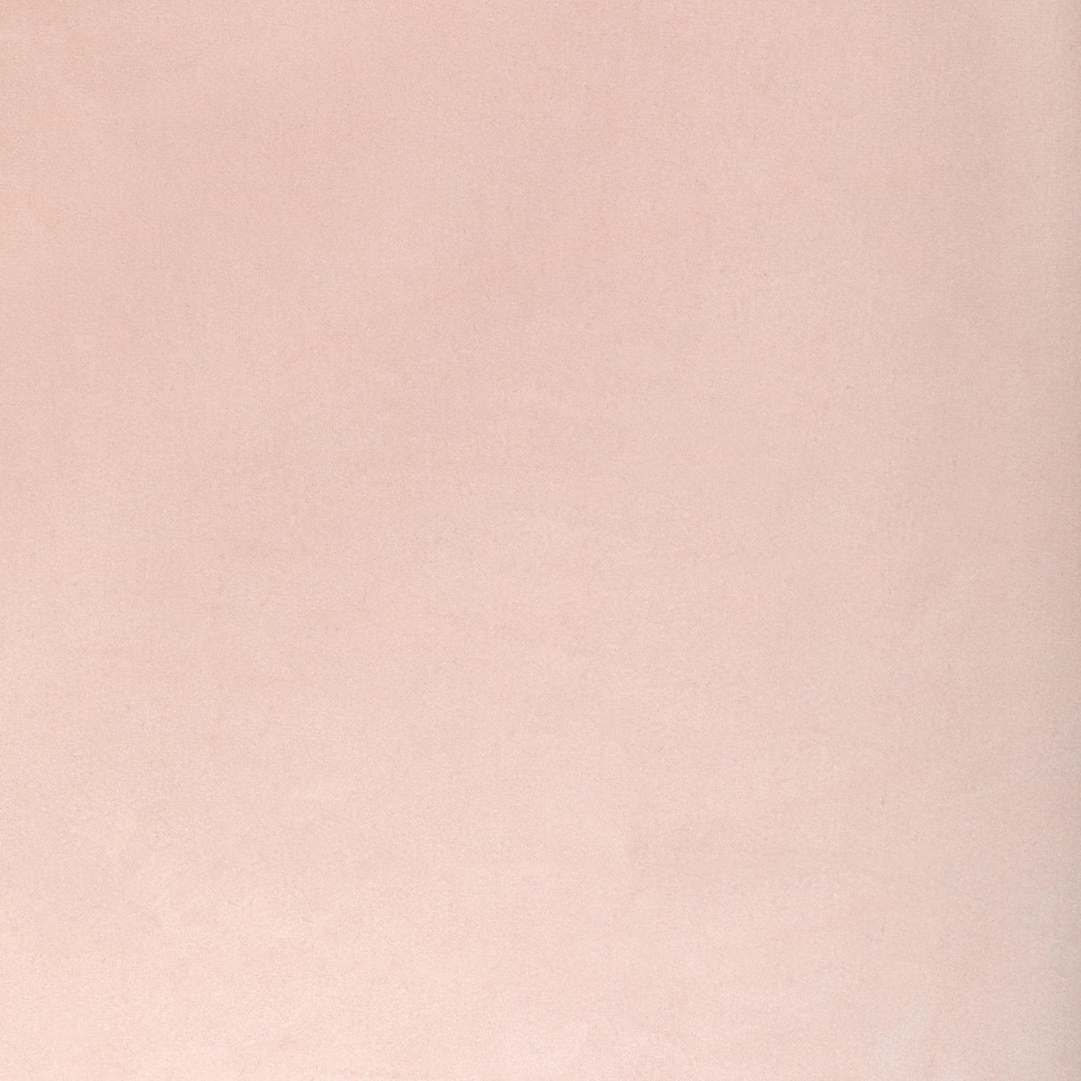 Kravet ROCCO VELVET BLOSSOM Upholstery Fabric