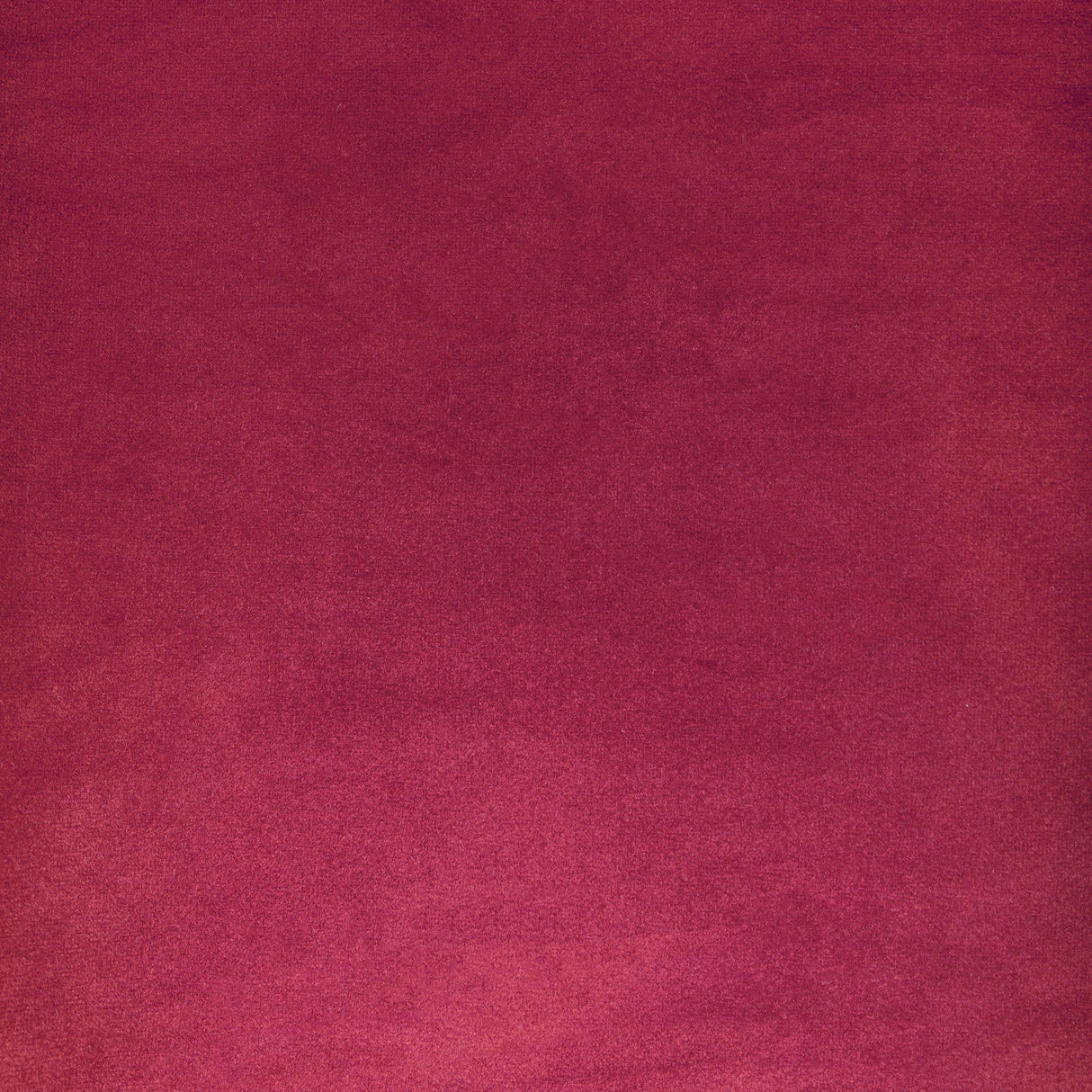 Kravet ROCCO VELVET ROSA Upholstery Fabric