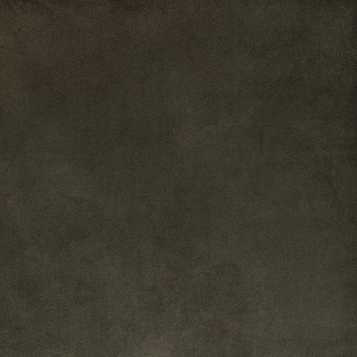 Kravet ROCCO VELVET SEAL Upholstery Fabric