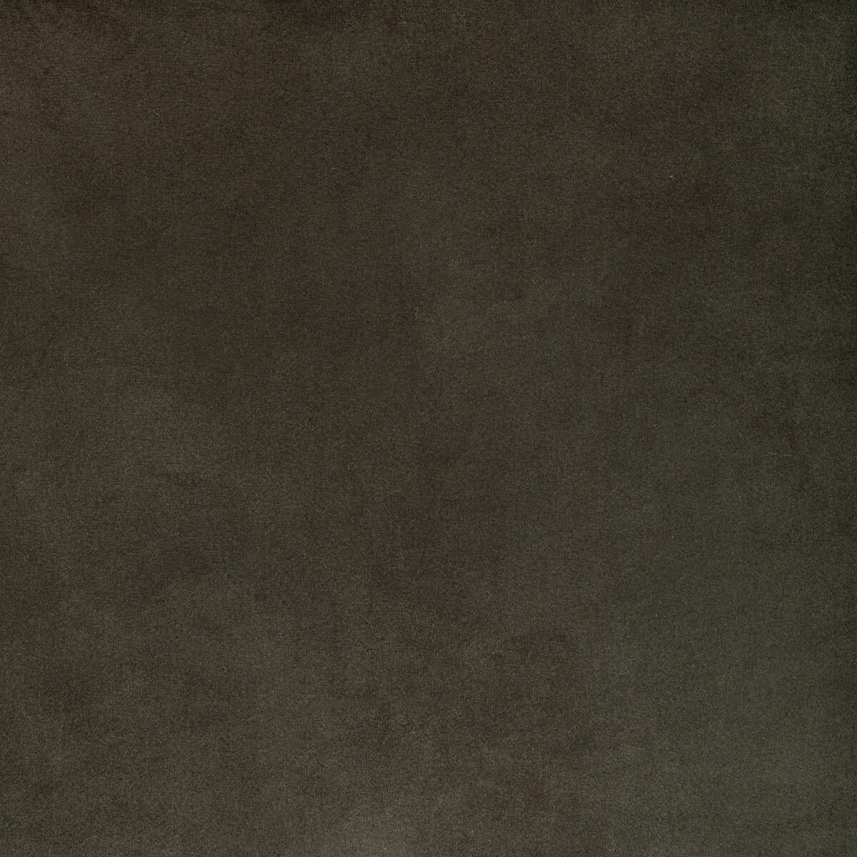 Kravet ROCCO VELVET SEAL Fabric