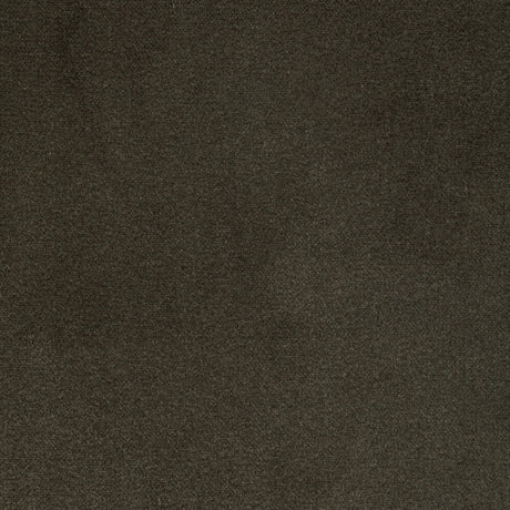 Kravet ROCCO VELVET SEAL Upholstery Fabric