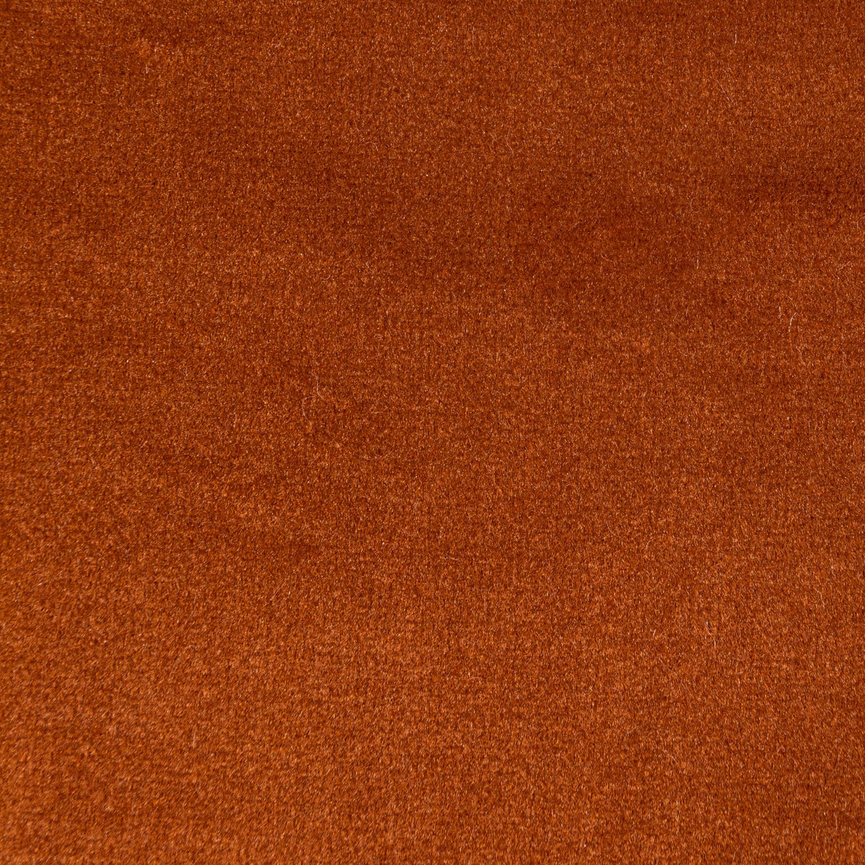 Kravet ROCCO VELVET SPICE Upholstery Fabric