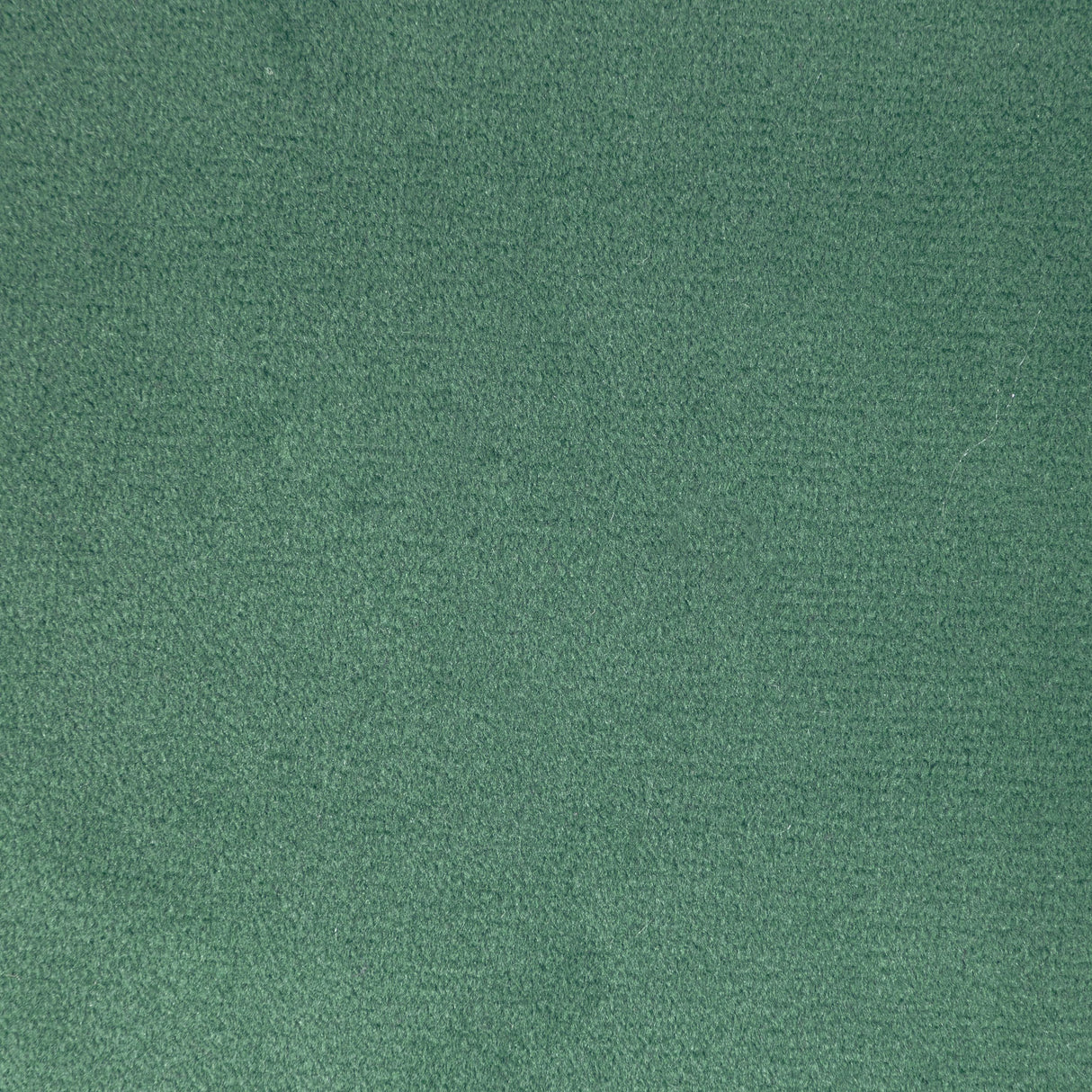 Kravet ROCCO VELVET GROTTO Upholstery Fabric