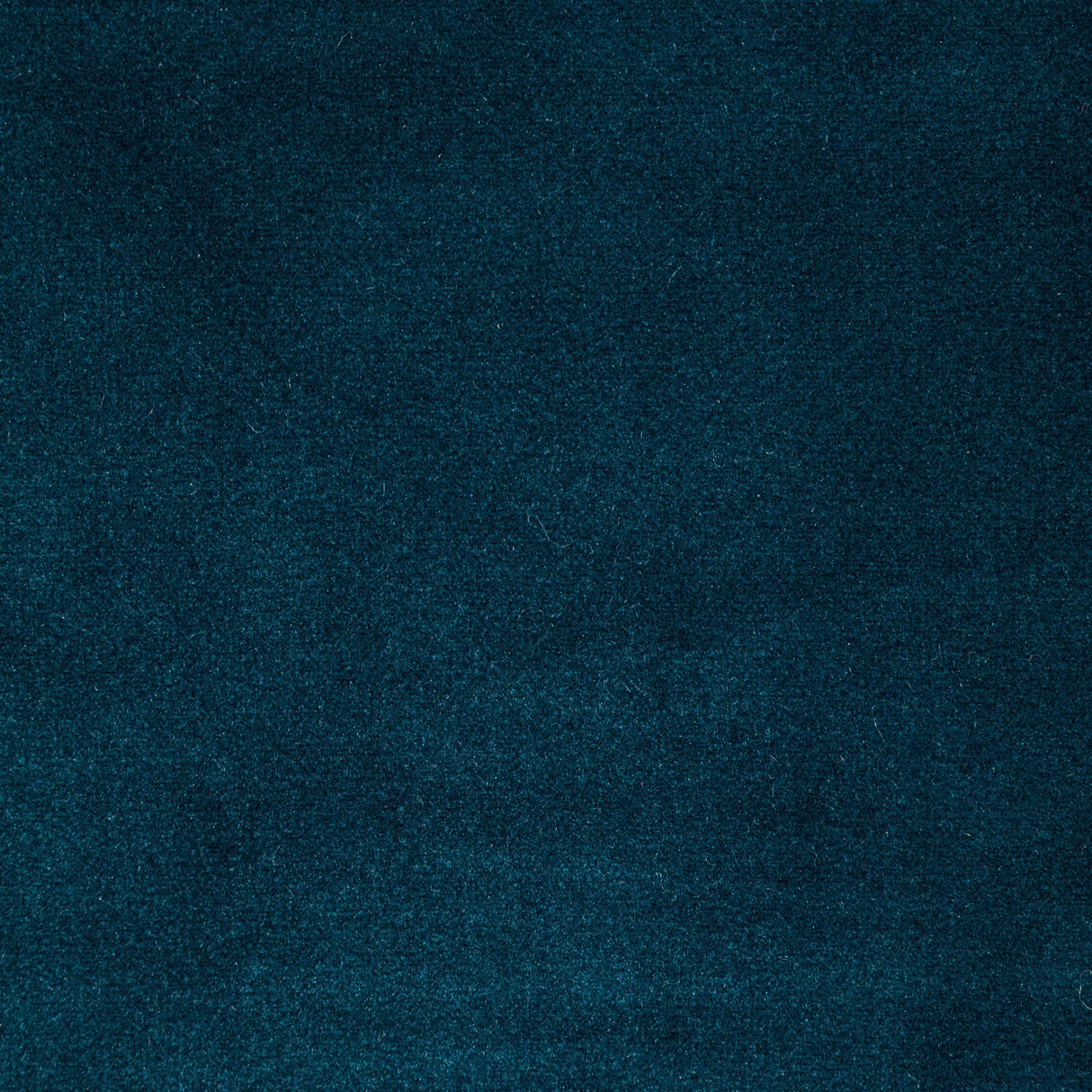 Kravet ROCCO VELVET INK Upholstery Fabric