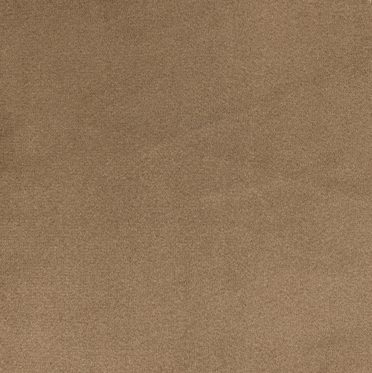 Kravet ROCCO VELVET DUNE Upholstery Fabric