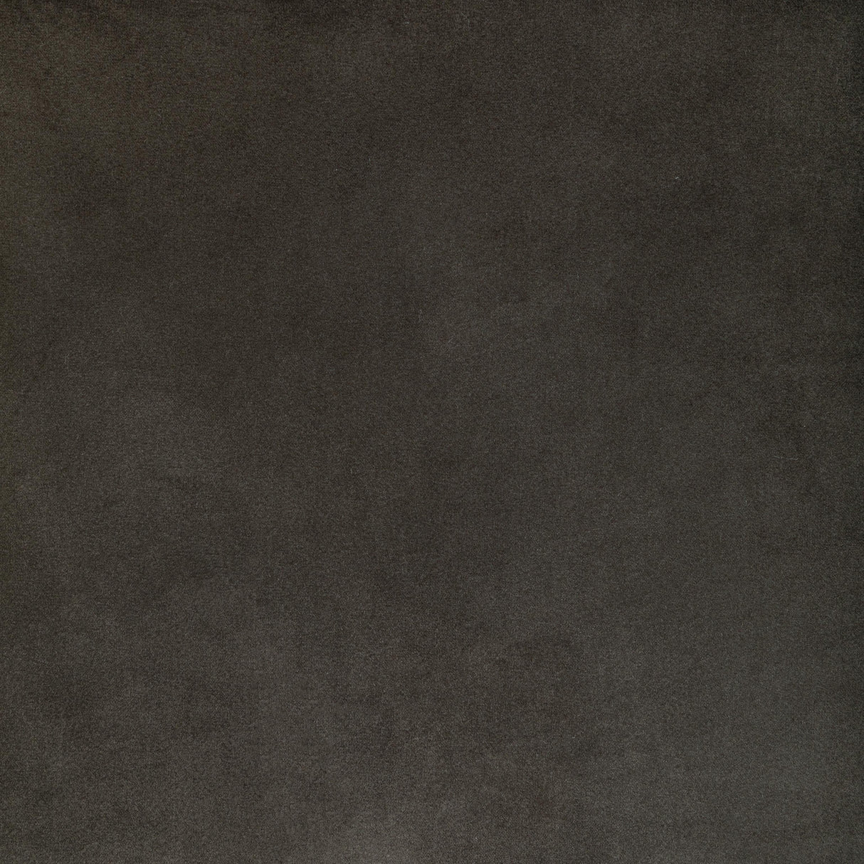 Kravet ROCCO VELVET SHADOW Upholstery Fabric