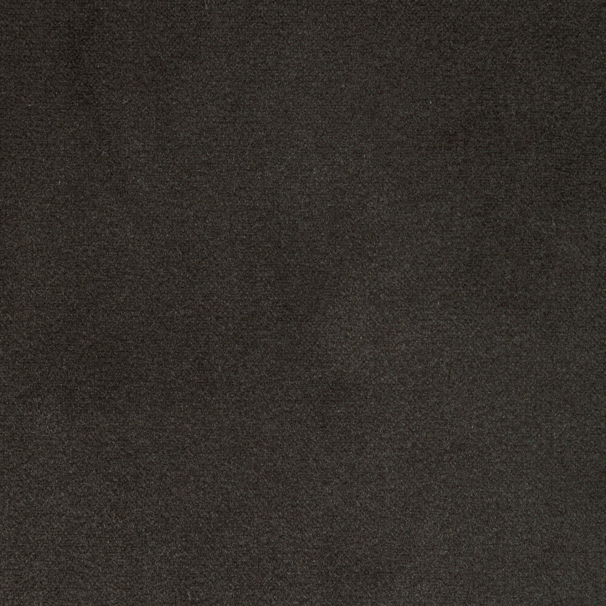 Kravet ROCCO VELVET SHADOW Upholstery Fabric