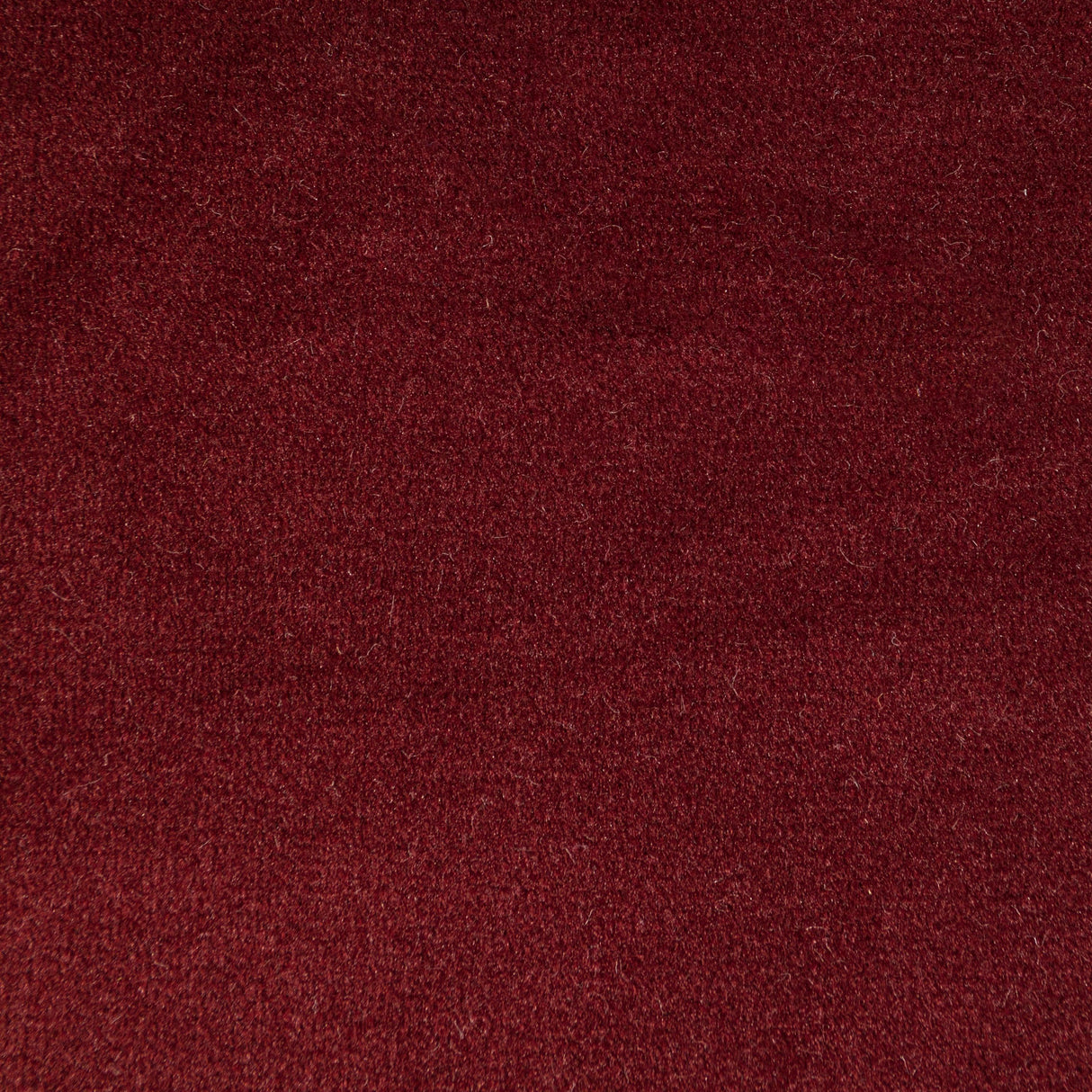 Kravet ROCCO VELVET CURRANT Upholstery Fabric