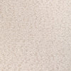 Kravet Marino Sand Dollar Upholstery Fabric
