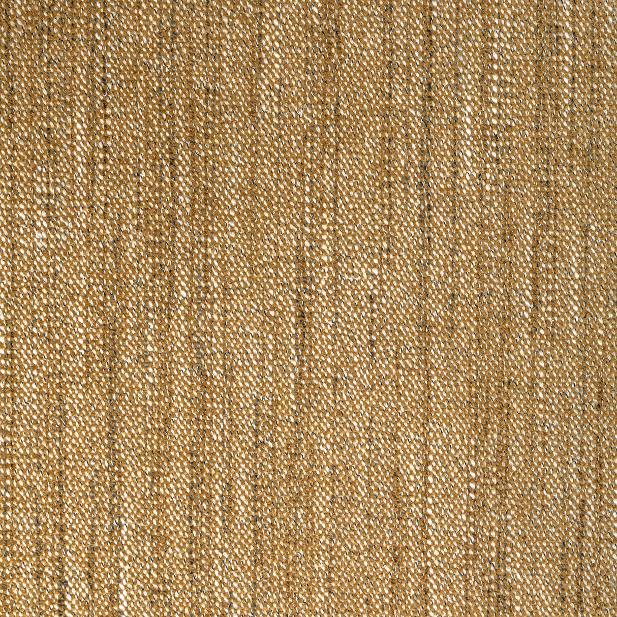 Kravet DELFINO HONEY Upholstery Fabric